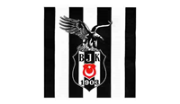 Beşiktaş Kağıt Peçete 16 Adet - Parti Sürprizi