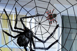 Cadılar Bayramı Siyah Örümcek Ağı 1.5 Metre - Parti Sürprizi