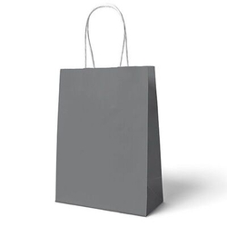 Gümüş Büküm Saplı6 adet Hediye Çantası 22 x 24 cm - Parti Sürprizi