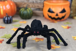 Halloween Cadılar Bayramı Siyah Örümcek 55 cm 1 Adet - Thumbnail