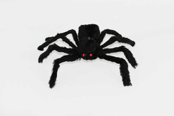 Halloween Cadılar Bayramı Siyah Örümcek 55 cm 1 Adet - 2