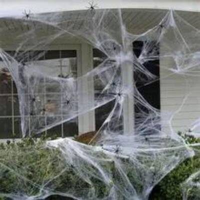 Hallowen Cadılar Bayramı Beyaz Renk Örümcek Ağı - 1