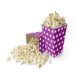 Mor Puantiyeli Mısır Kutusu 8 Adet - Parti Sürprizi