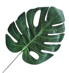 Yaprak Deve Tabanı 5 Adet - Parti Sürprizi